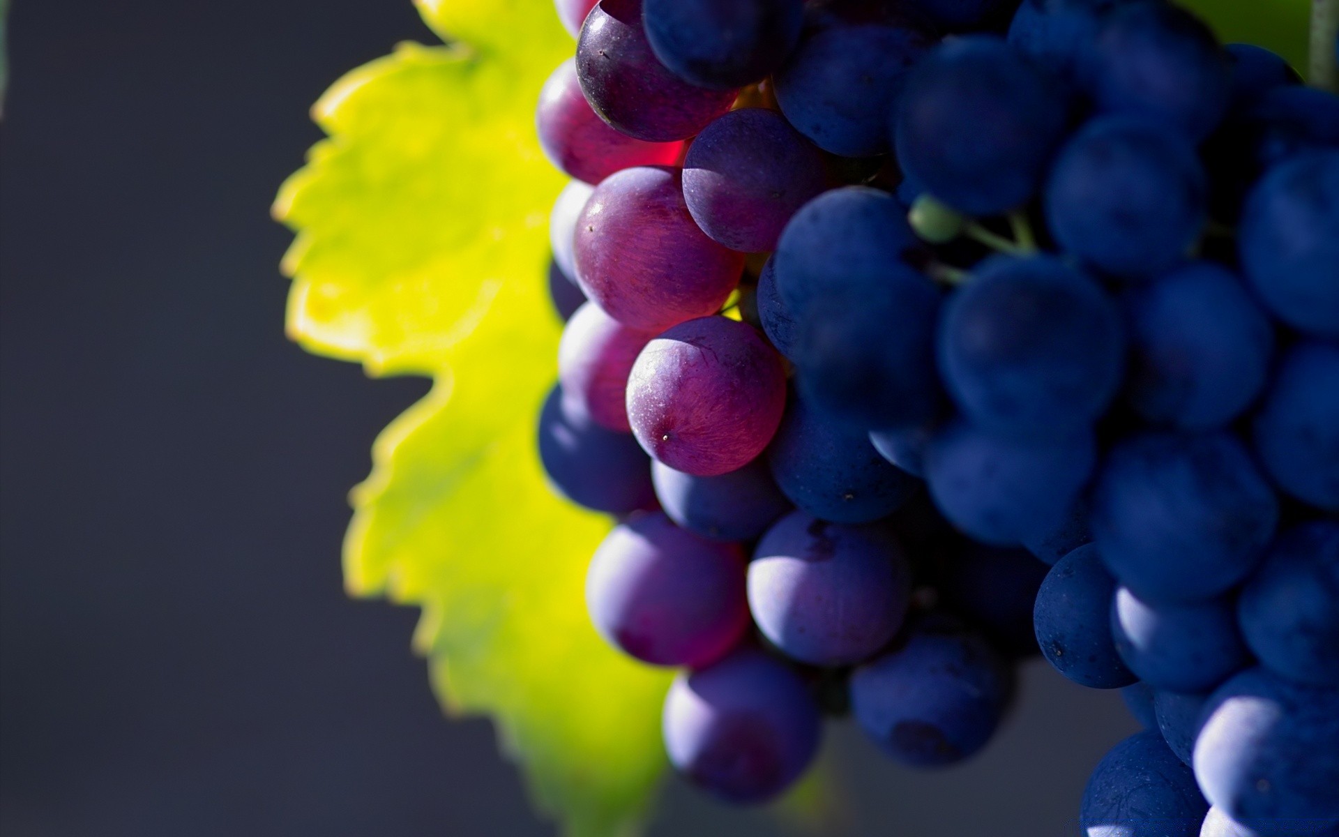 fruta uva vid naturaleza viñedo jugoso hoja verano racimo bodega comida uva vino pila viticultura color