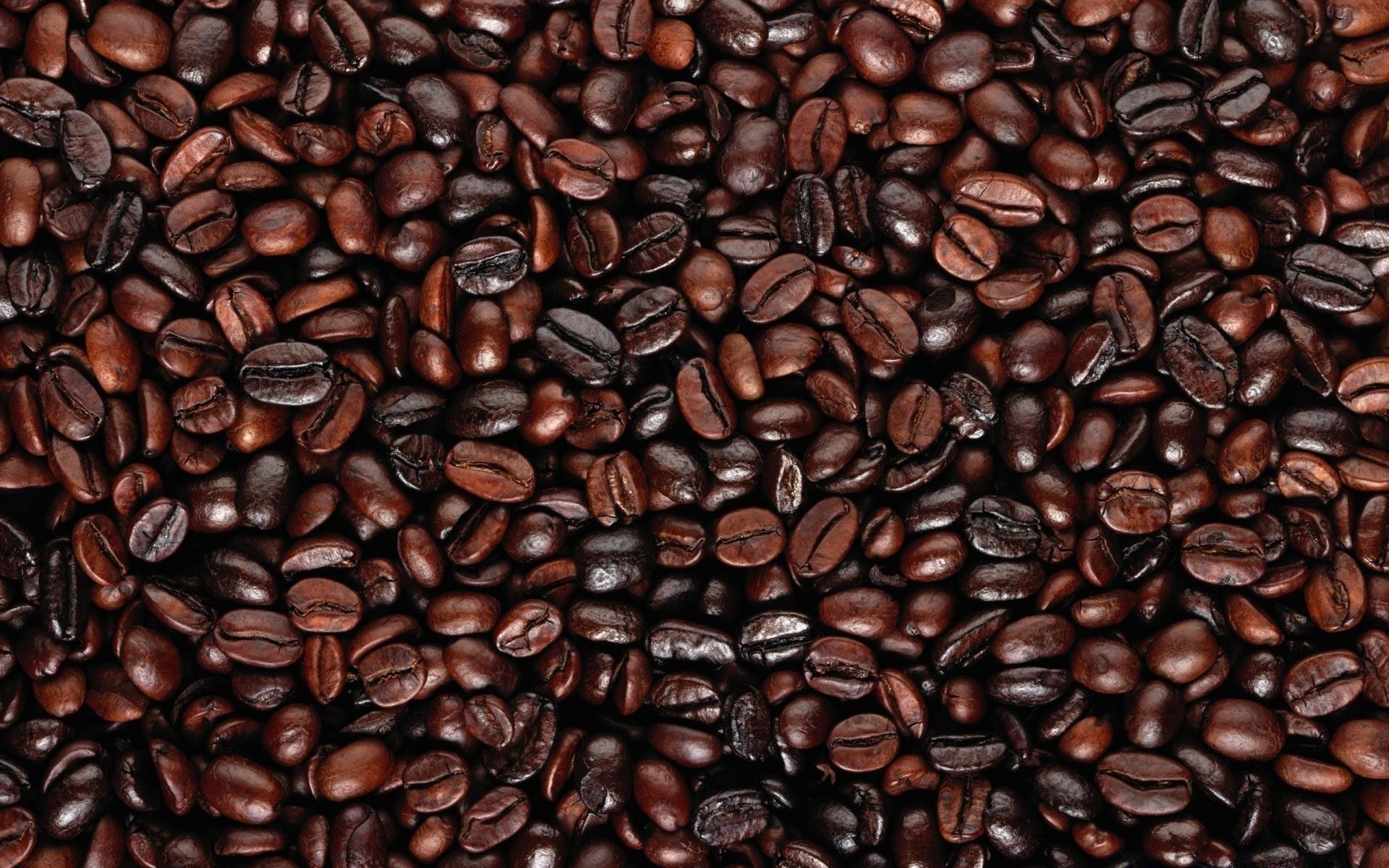 alimentos y bebidas café cafeína espresso frijoles bebida oscuro capuchino moca amanecer chocolate arábica perfume cosecha sabor semilla partido café sabroso cereales