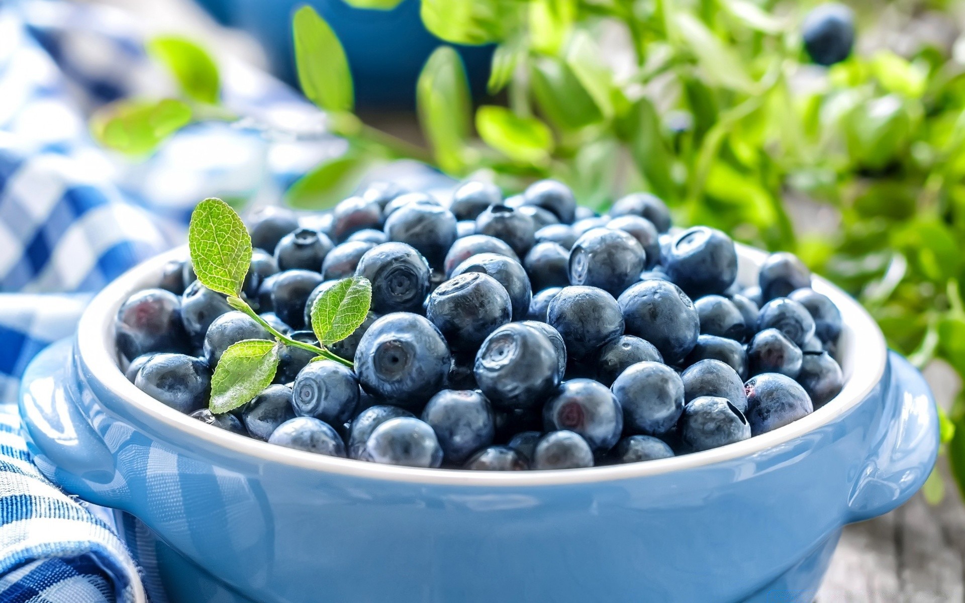 fruta comida saludable baya cerca hoja naturaleza arándano verano frescura pasto dieta crecer jugoso nutrición escritorio dulce