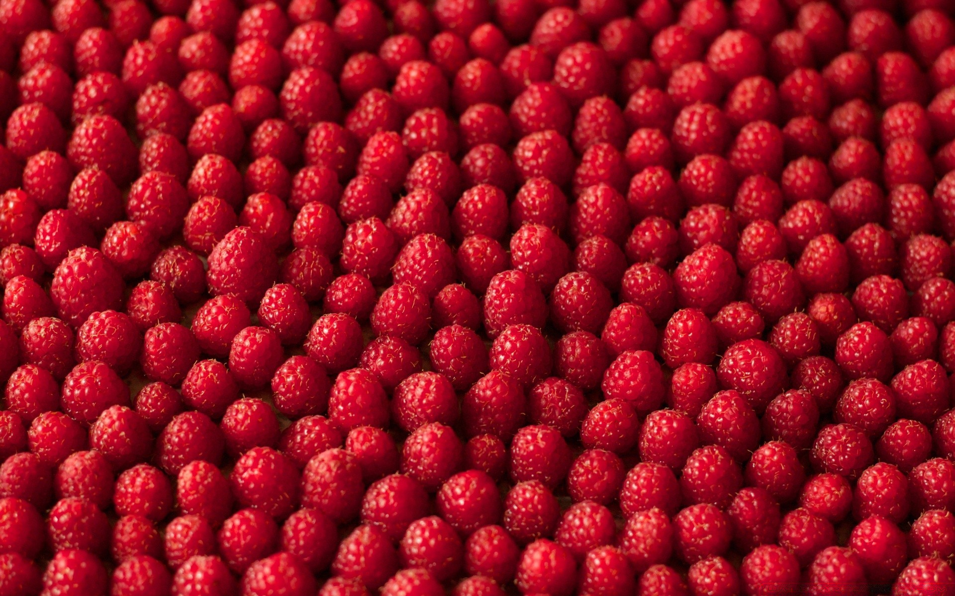 food & drink food fruit berry healthy juicy raspberry sweet refreshment delicious freshness desktop diet confection batch tasty close-up grow