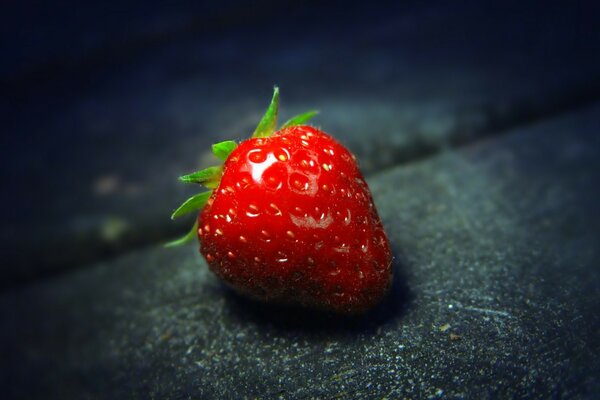 Erdbeeren liegen rot auf dem Asphalt