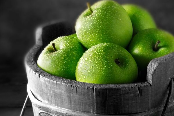 Mele verde brillante in un secchio su sfondo grigio