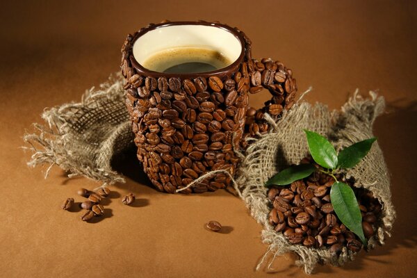 Coffee cup with coffee bean pattern