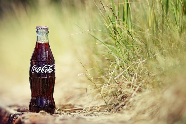 Eine Flasche Cola auf dem Rasen