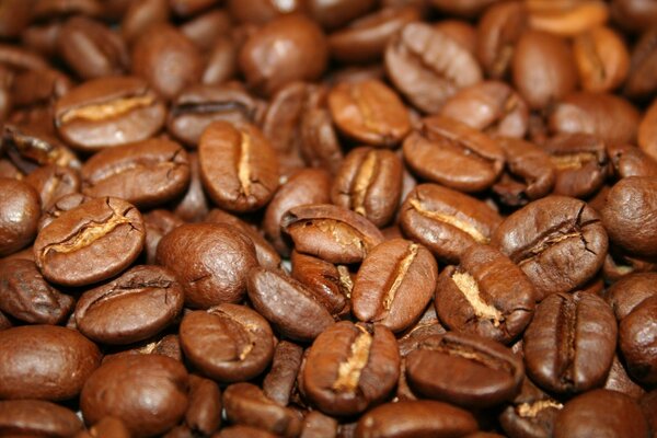 Espresso Coffee Beans