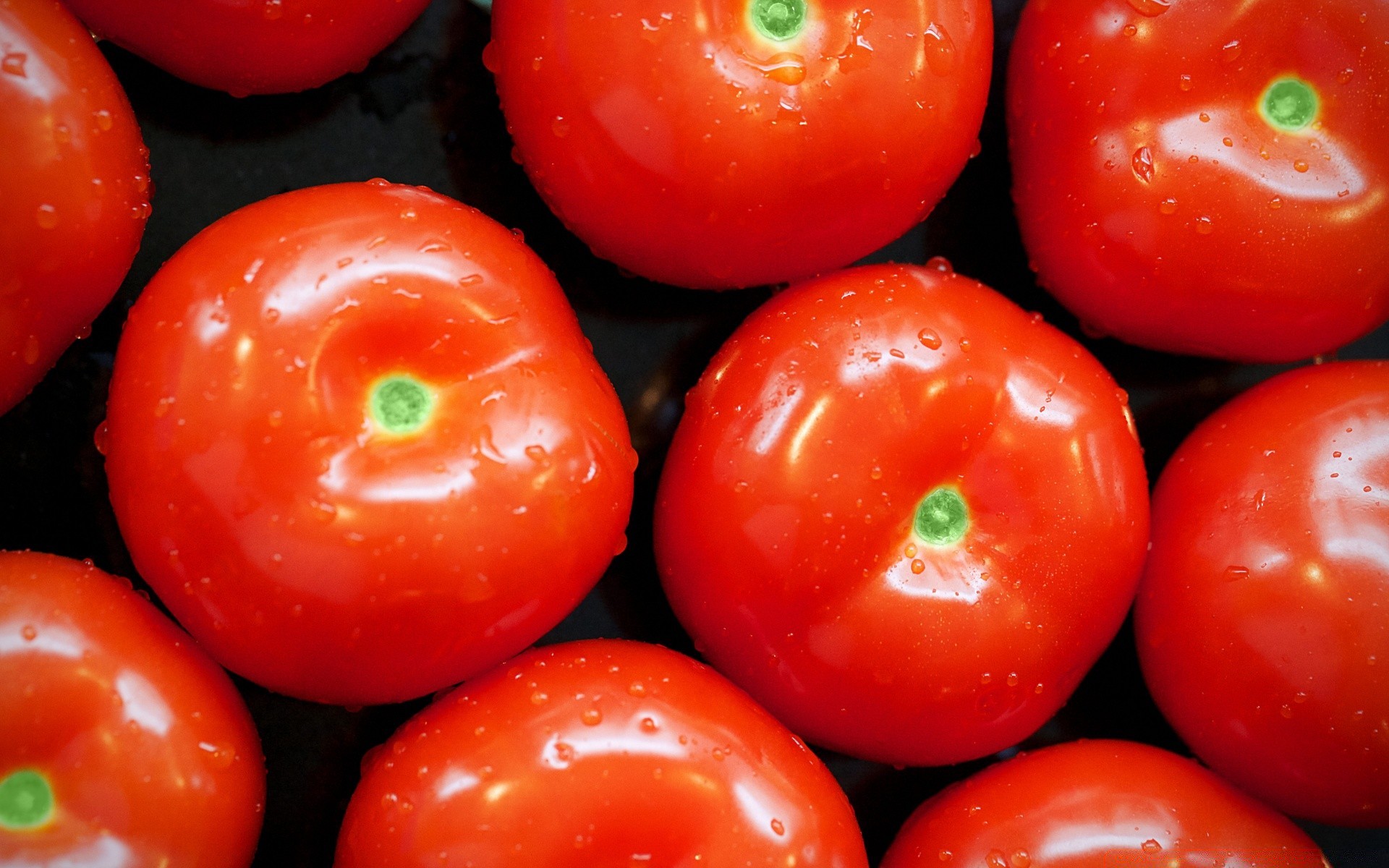 légumes alimentaire tomate légume alimentaire santé en bonne santé grandir délicieux agriculture cuisine juteux ingrédients régime alimentaire fruits fraîcheur marché délicieux gros plan feuille