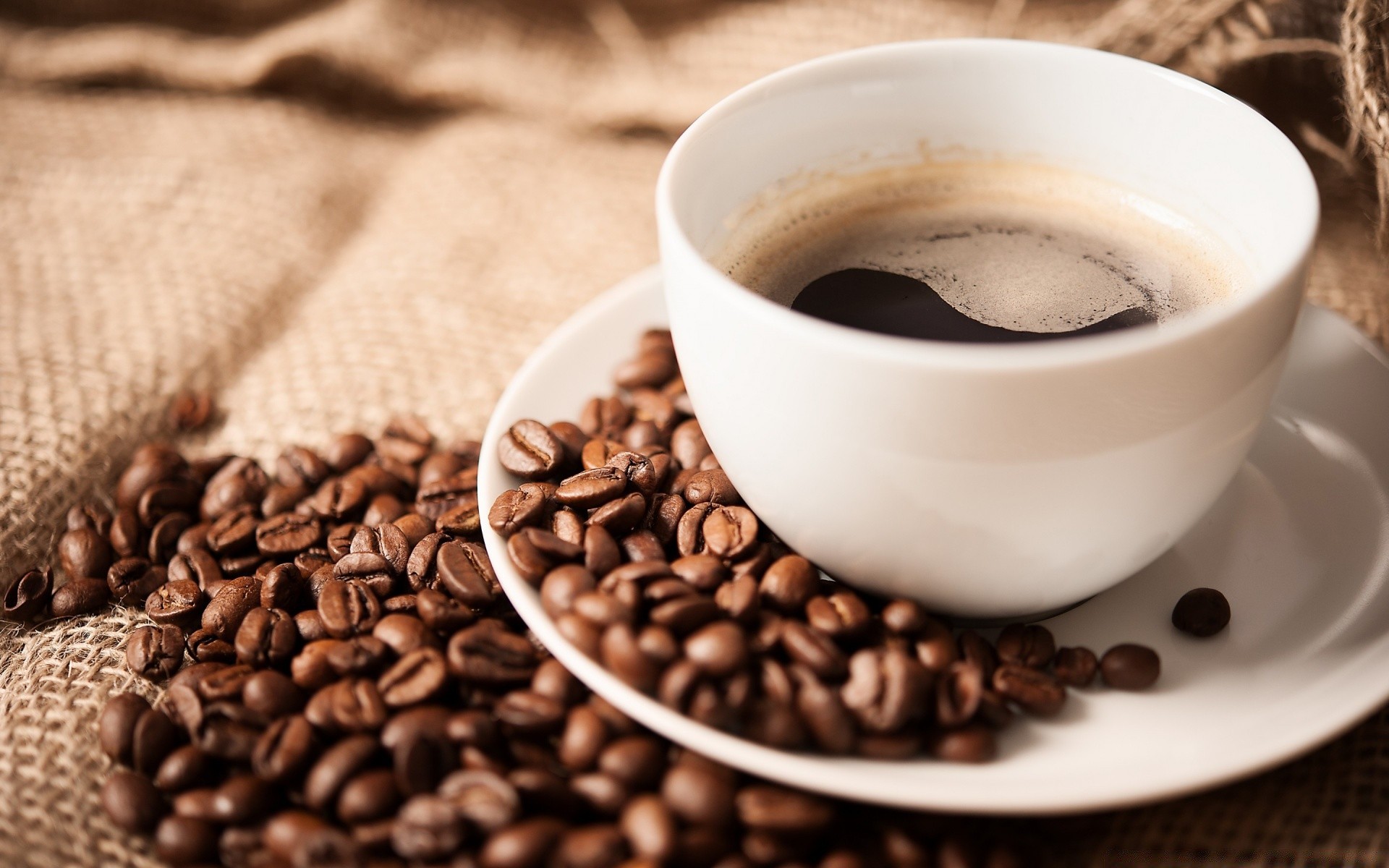 cibo e bevande caffè caffeina espresso alba fagioli bere scuro profumo tazza colazione cappuccino moka caldo tazza cibo cereali gusto aromatico piattino raccolto