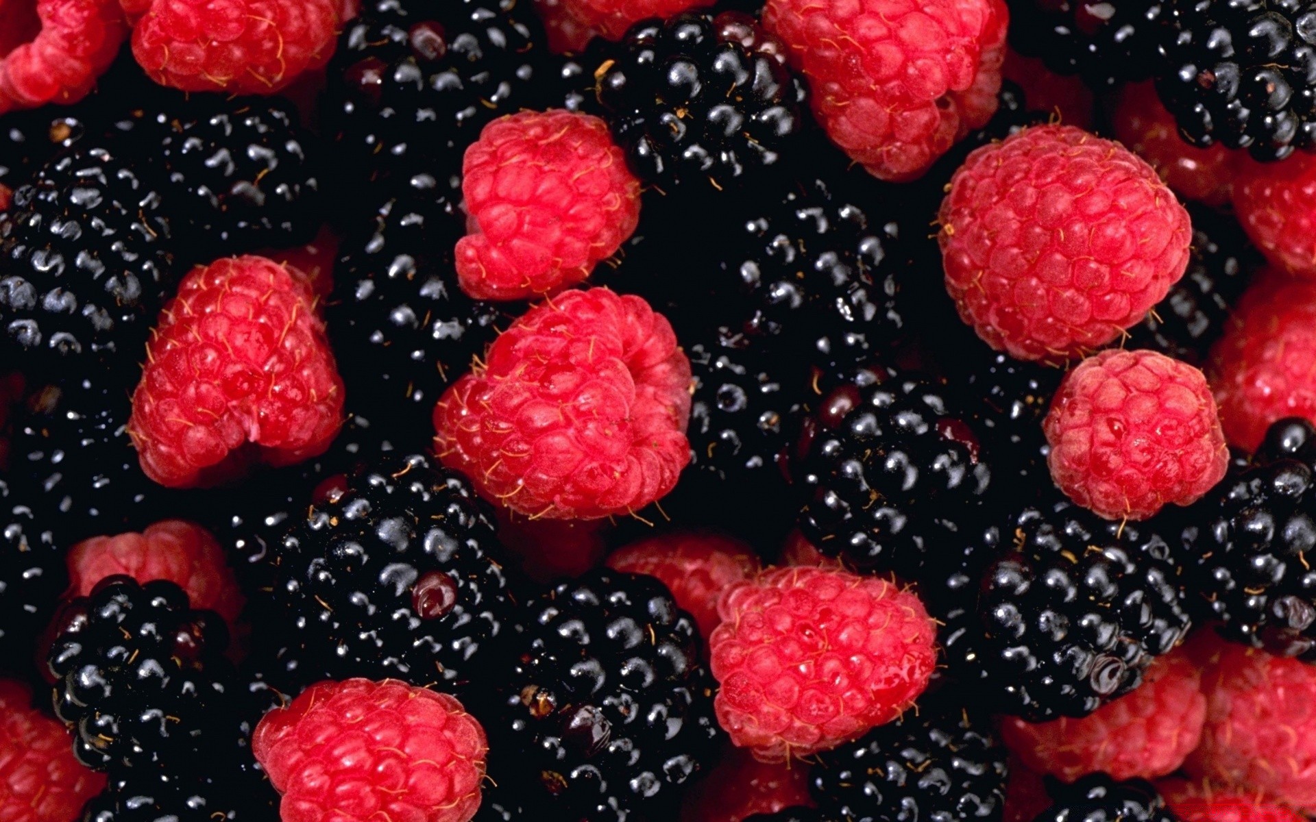 fruits framboises mûres baies doux alimentaire délicieux juteux en bonne santé délicieux rafraîchissement confiserie fraîcheur régime alimentaire myrtille épicure alimentaire gros plan beaucoup