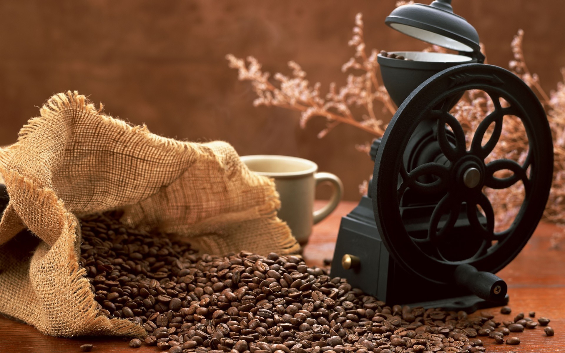 cibo e bevande caffè bere caffeina espresso cibo alba scuro colazione tela da imballaggio tazza cereali profumo tavolo legno natura morta sacchetto fagiolo tradizionale borsa