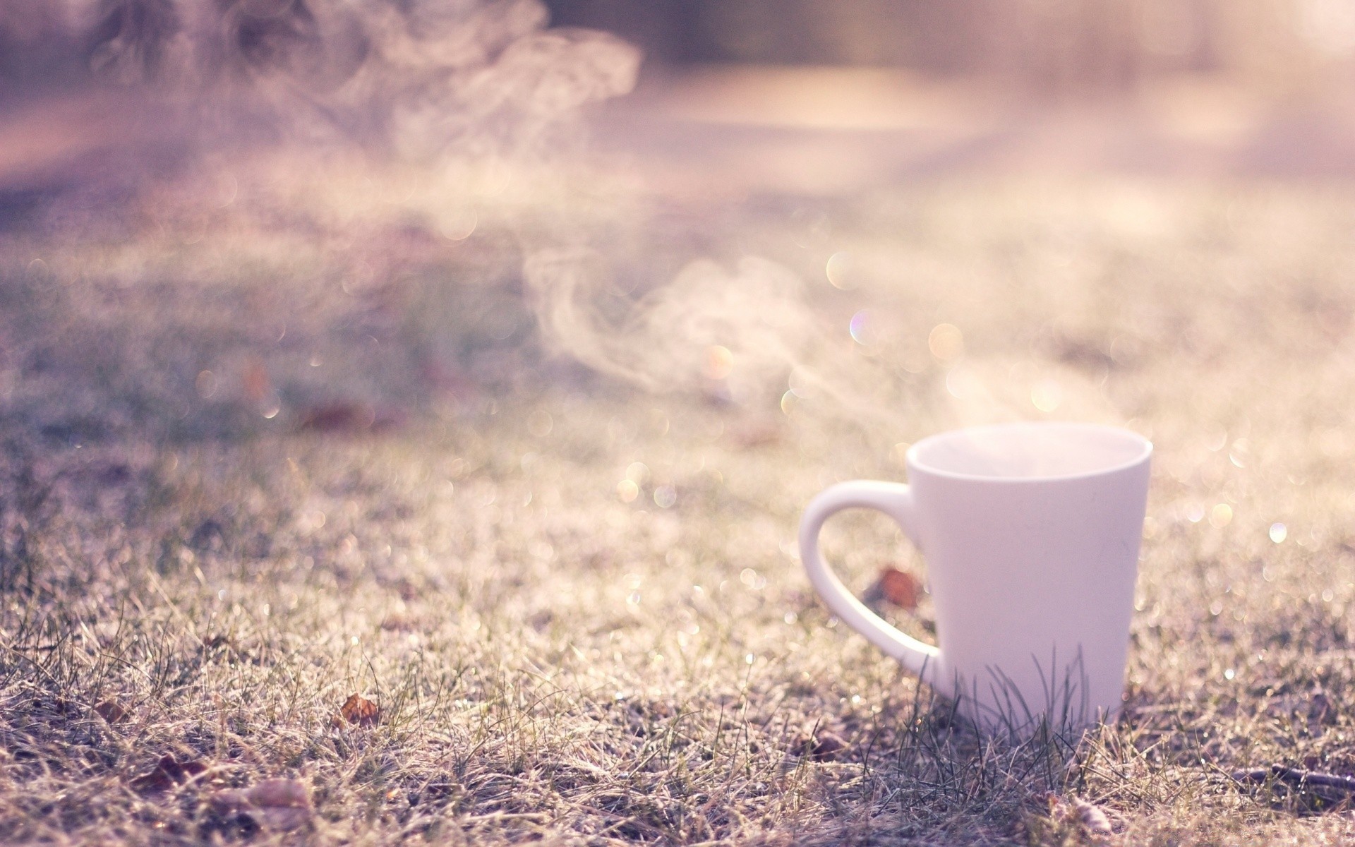 cibo e bevande alba caldo bere natura desktop caffè estate cibo tazza all aperto legno colore