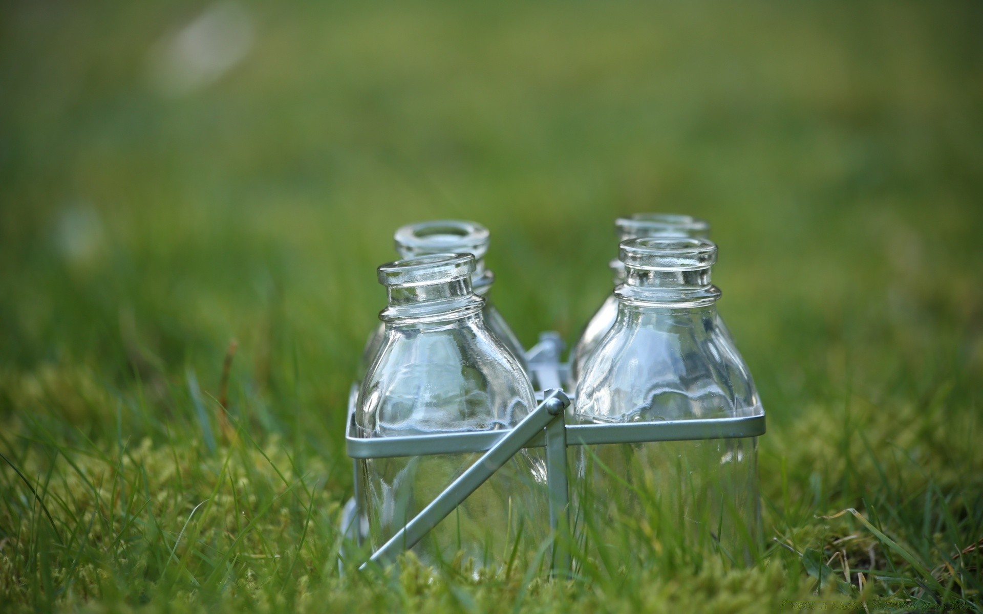 food & drink grass nature outdoors summer field