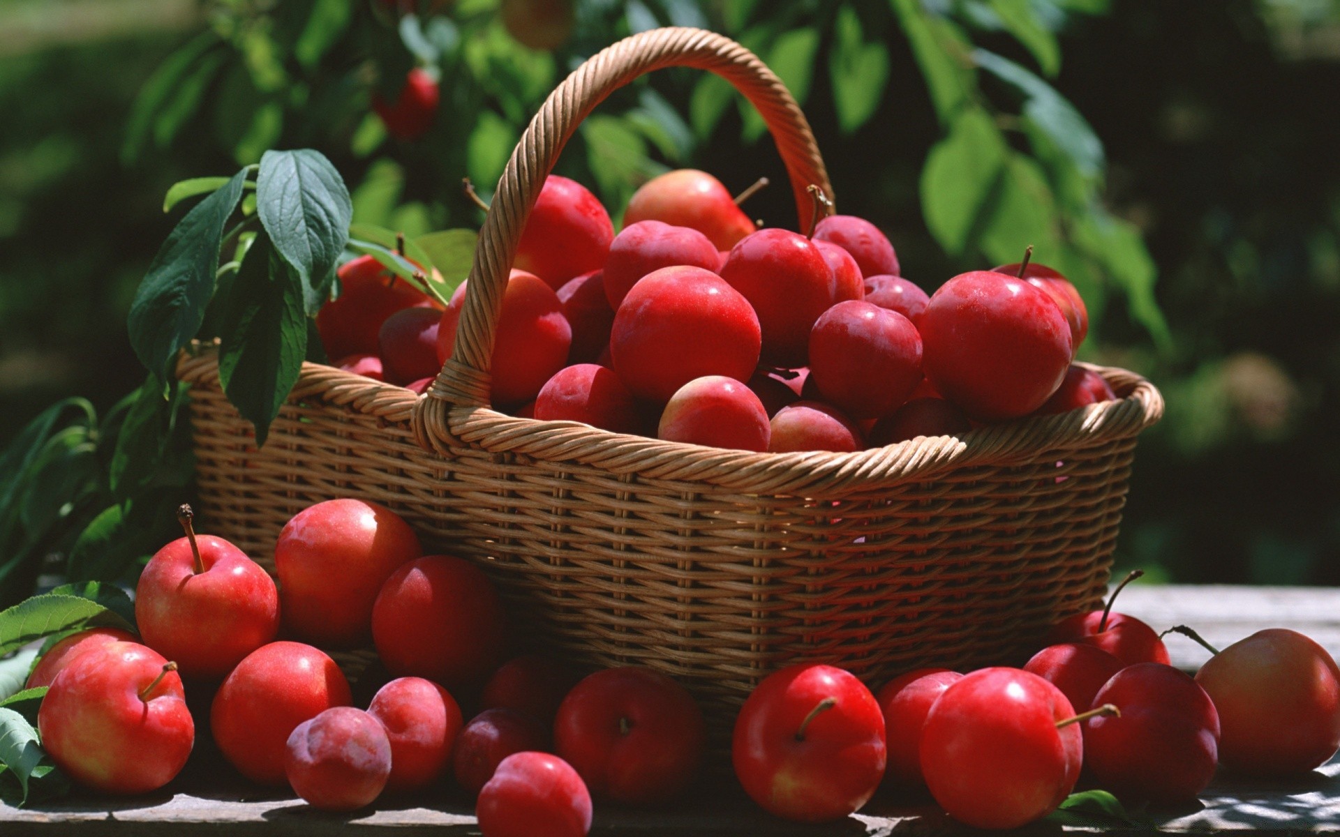 obst korb lebensmittel saftig weide kirsche beere wachsen garten blatt geflochtene gesund markt lecker gemüse essen gesundheit landwirtschaft süßwaren