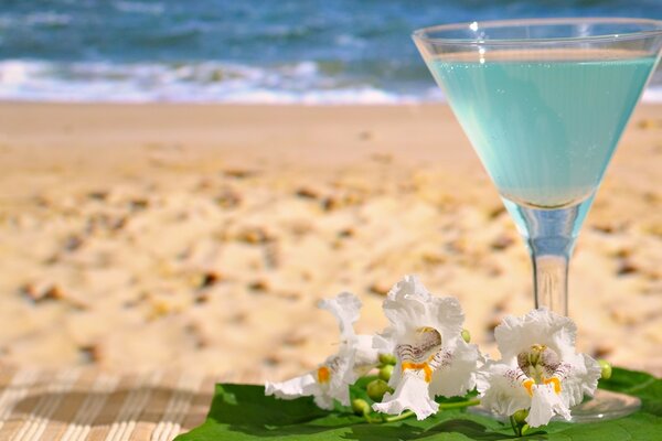 Bebida refrescante de verano junto al mar