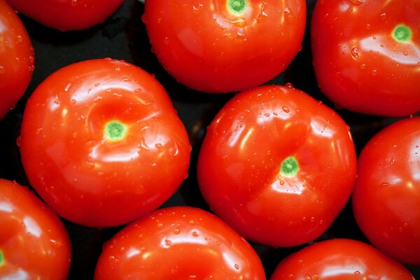 Rote Tomaten regen den Appetit an