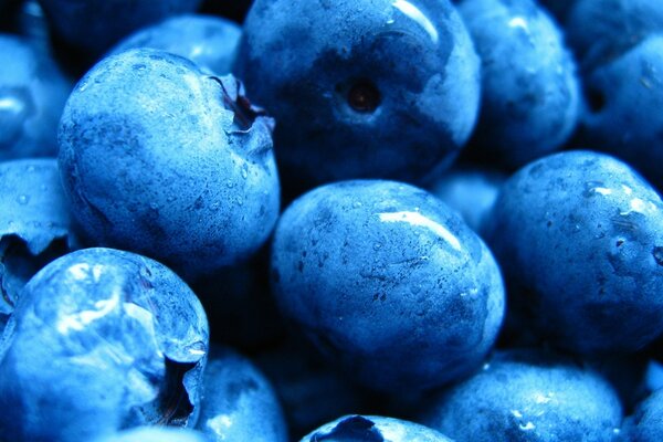 Juicy fruit blueberry berry