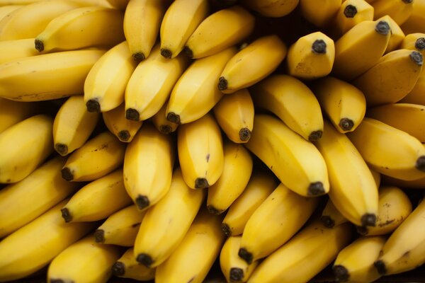 Banane mafia fruit Fantasy