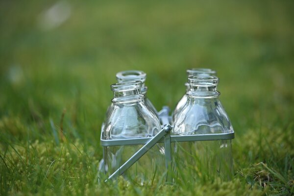 Glass jars on a green field