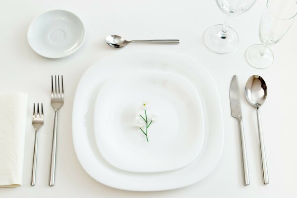 Silver and white. tableware