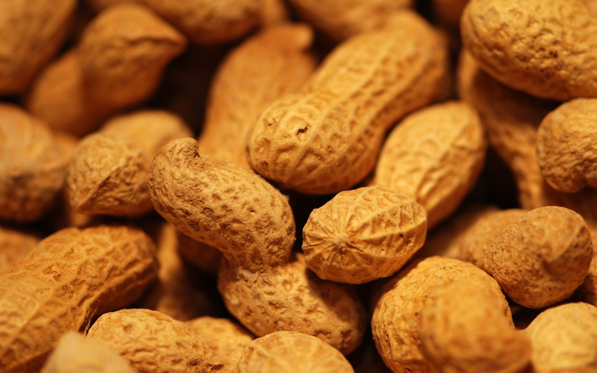 food & drink nut food nutshell peanut health nutrition refreshment seed healthy dry shell desktop hard diet close-up tasty pod fruit delicious