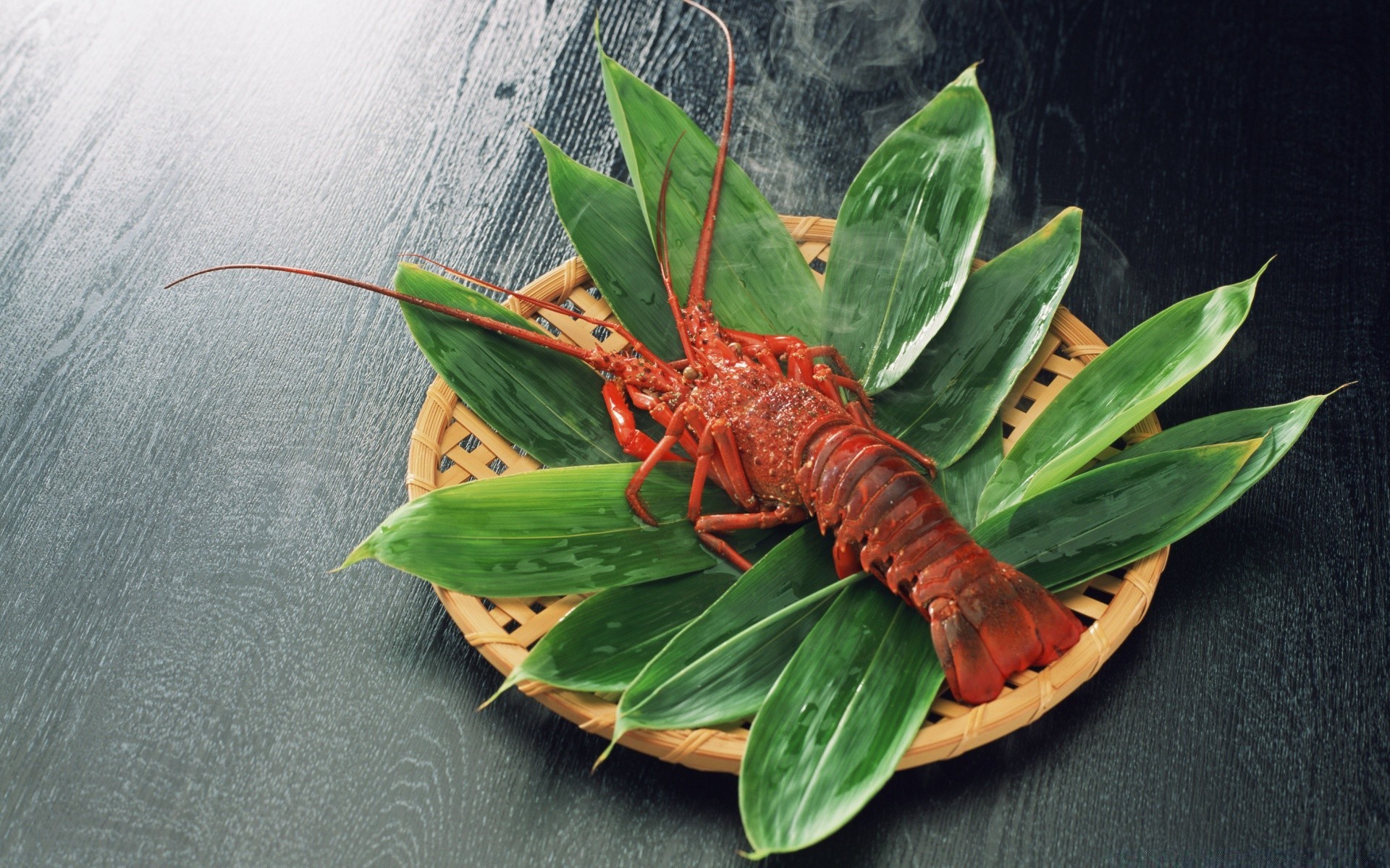 breakfast leaf nature invertebrate flora