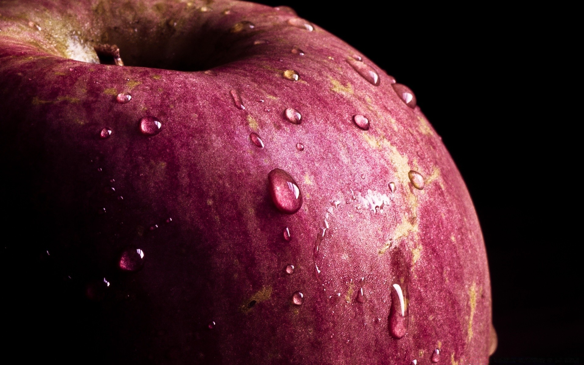 fruits nourriture nature pomme humide rosée santé alimentaire confiserie chute délicieux pluie agriculture eau juteuse en bonne santé couleur jus