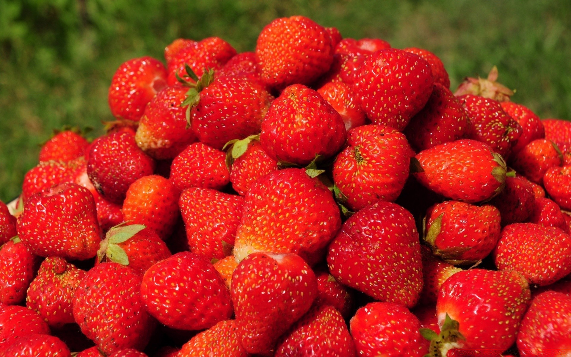 fruit strawberry berry food juicy delicious grow healthy health confection sweet freshness tasty nutrition diet garden pasture market summer