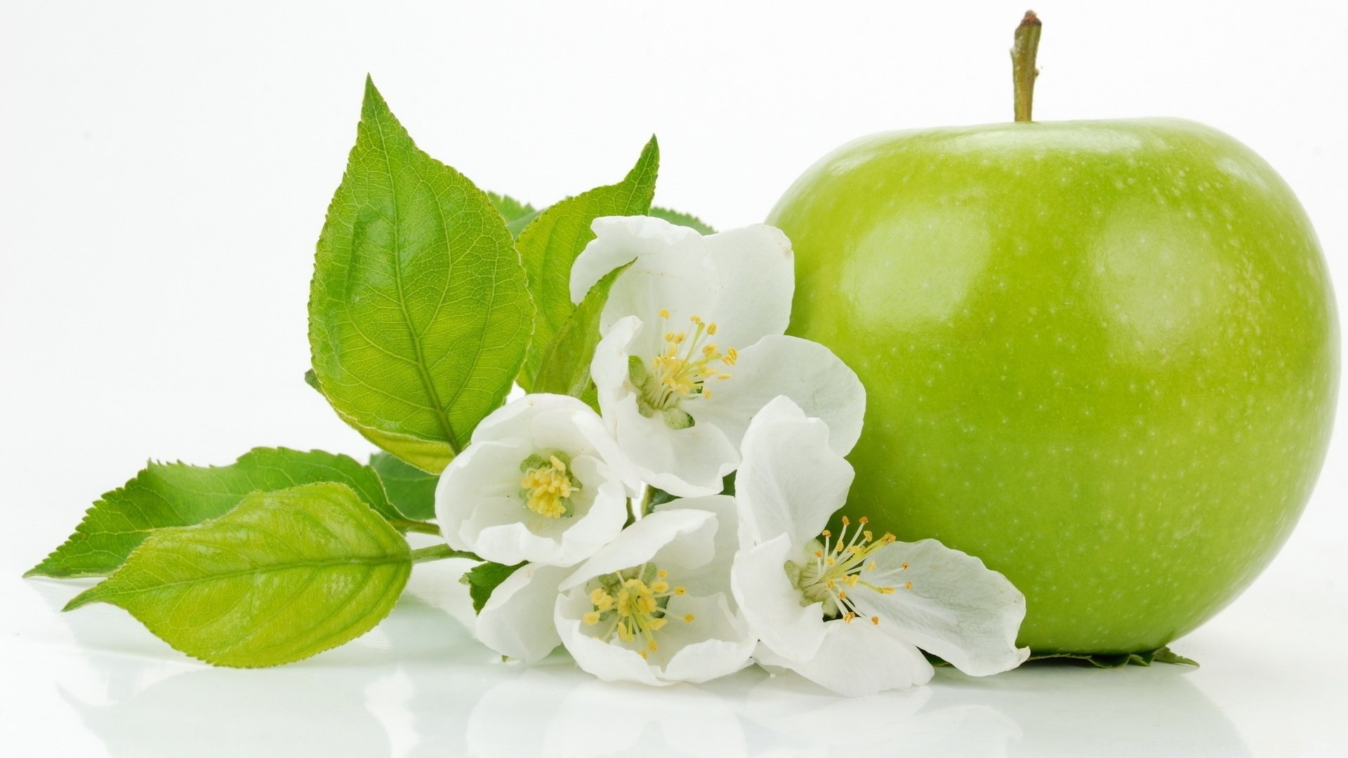 fruta hoja naturaleza manzana salud comida brillante aislado frescura flora nutrición