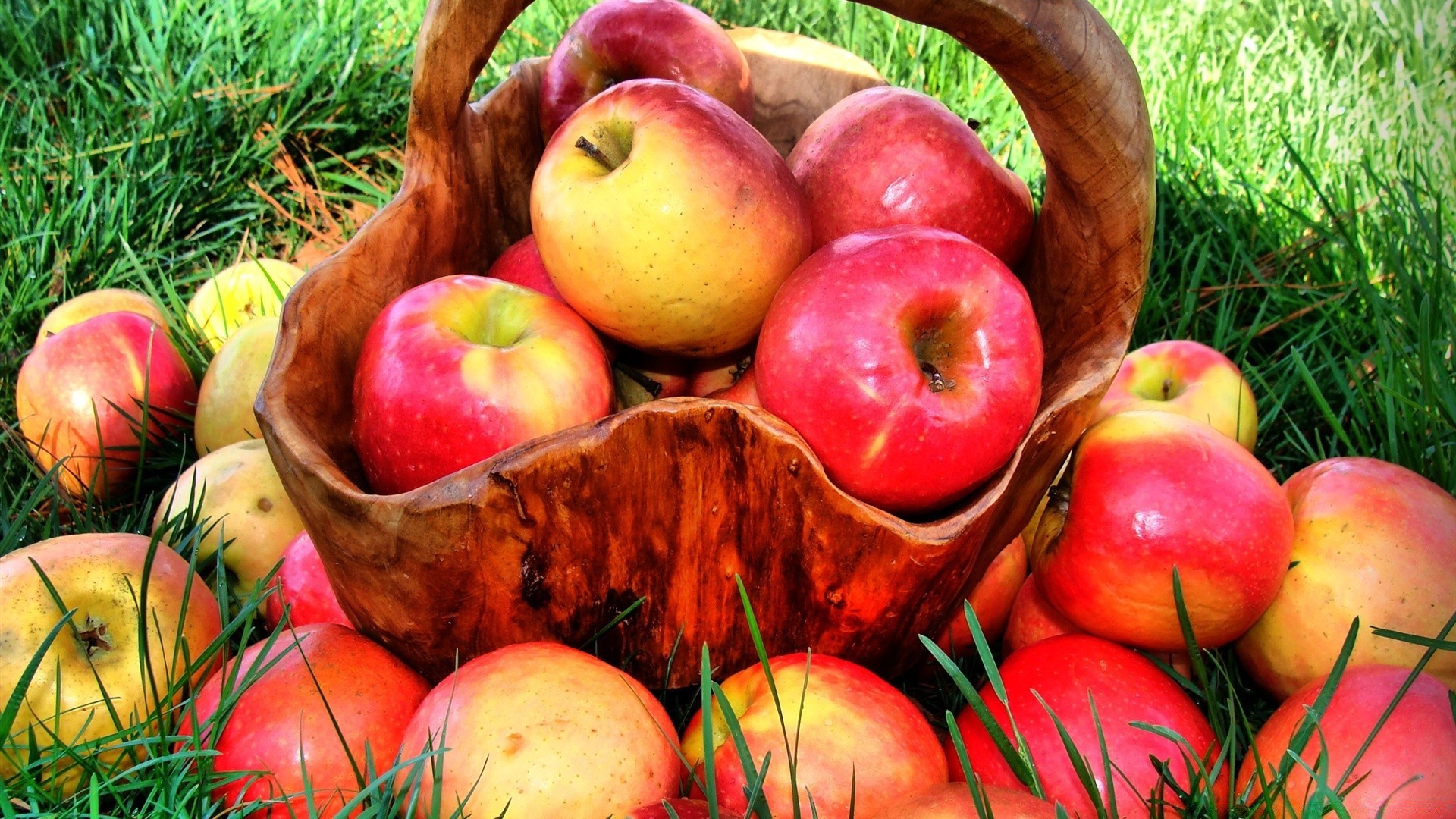 obst apfel essen weide gesund herbst korb saftig garten gebäck blatt ernährung ernährung lecker natur gesundheit