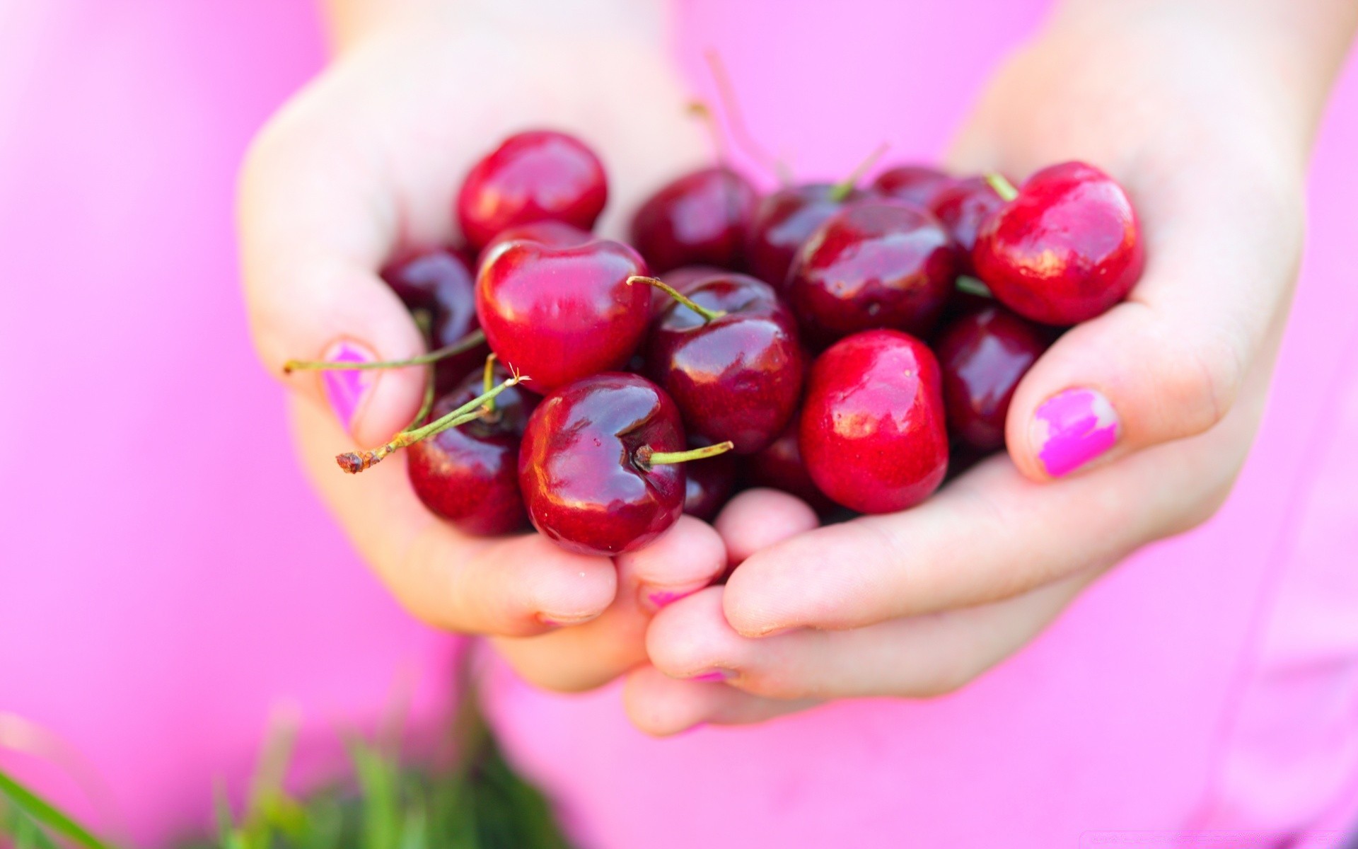 fruits confiserie alimentaire cerise santé délicieux en bonne santé baie alimentaire juteuse brille doux délicieux