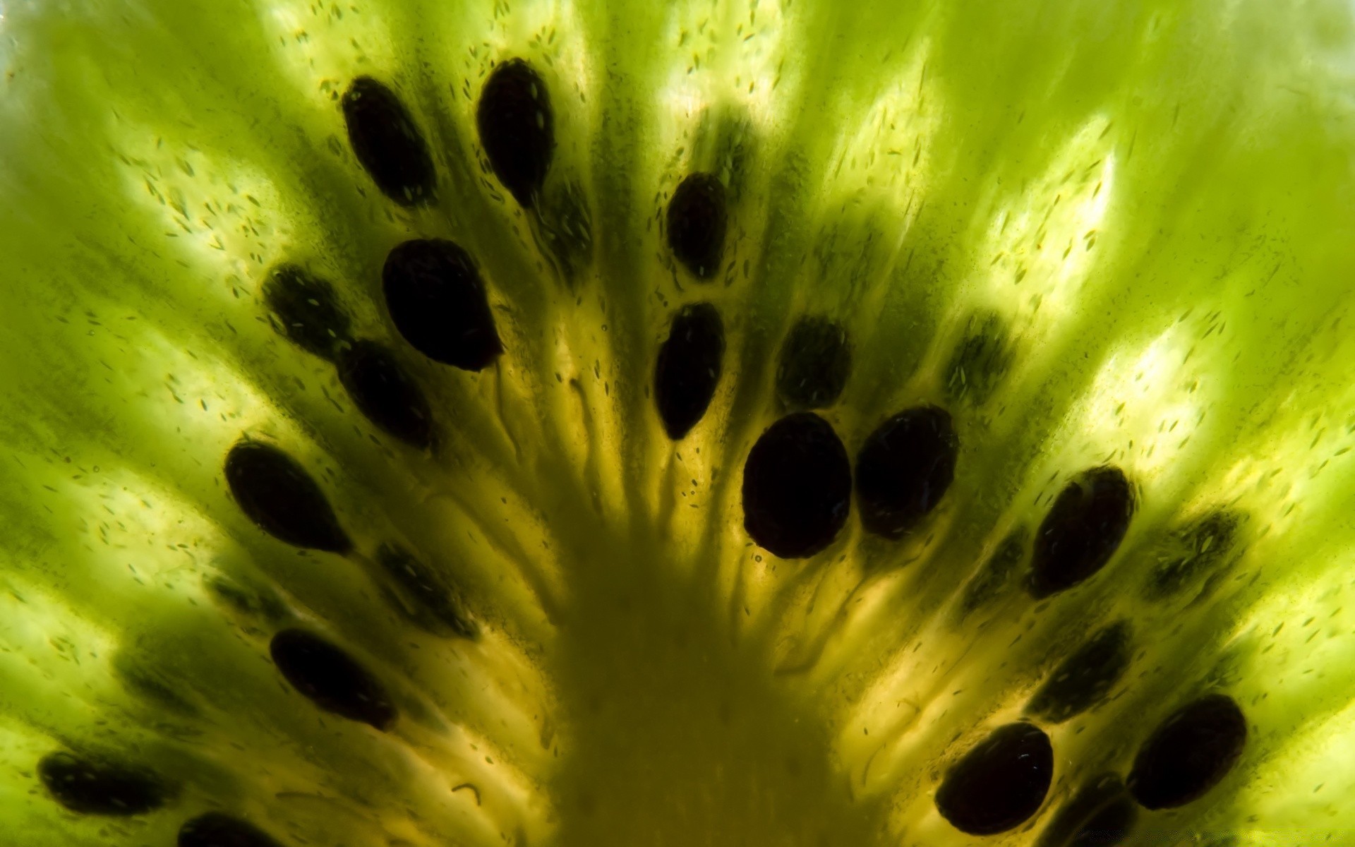 frutas comida suculento saudável saúde kiwi confeitaria tropical frescura comida dieta semente mesa doce vitamina cor agricultura exótico close-up