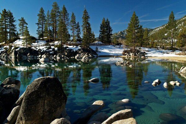 Snow-covered nature on a pond