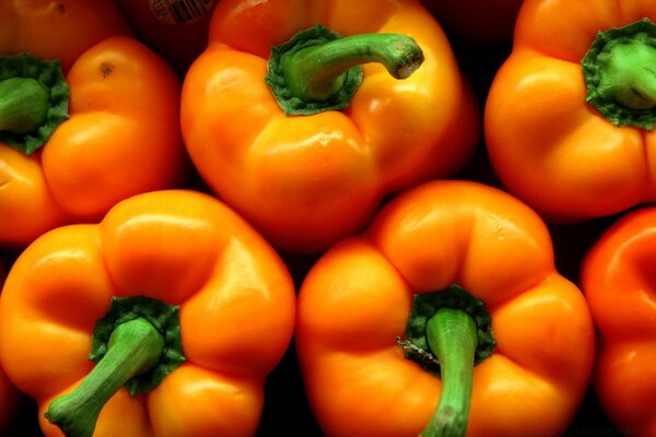 Orange bell pepper with green stalks