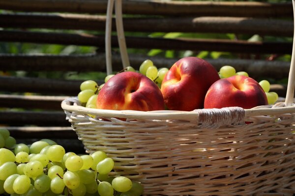 Cesta completa de frutas maduras e deliciosas