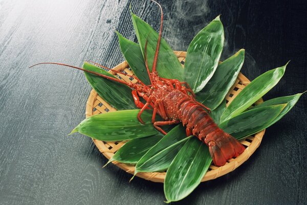 Cancer on a plate with banana leaves