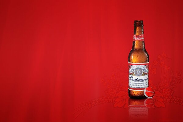 Bière Budweiser sur fond élégant rouge