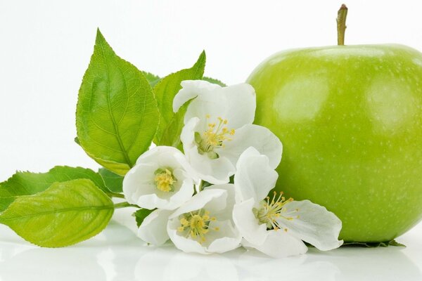 Hoja de la naturaleza de la manzana