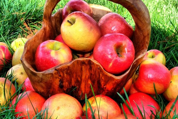 Basket with ripe apples