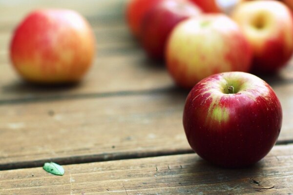 Dispersión de manzanas rojas de otoño en la mesa