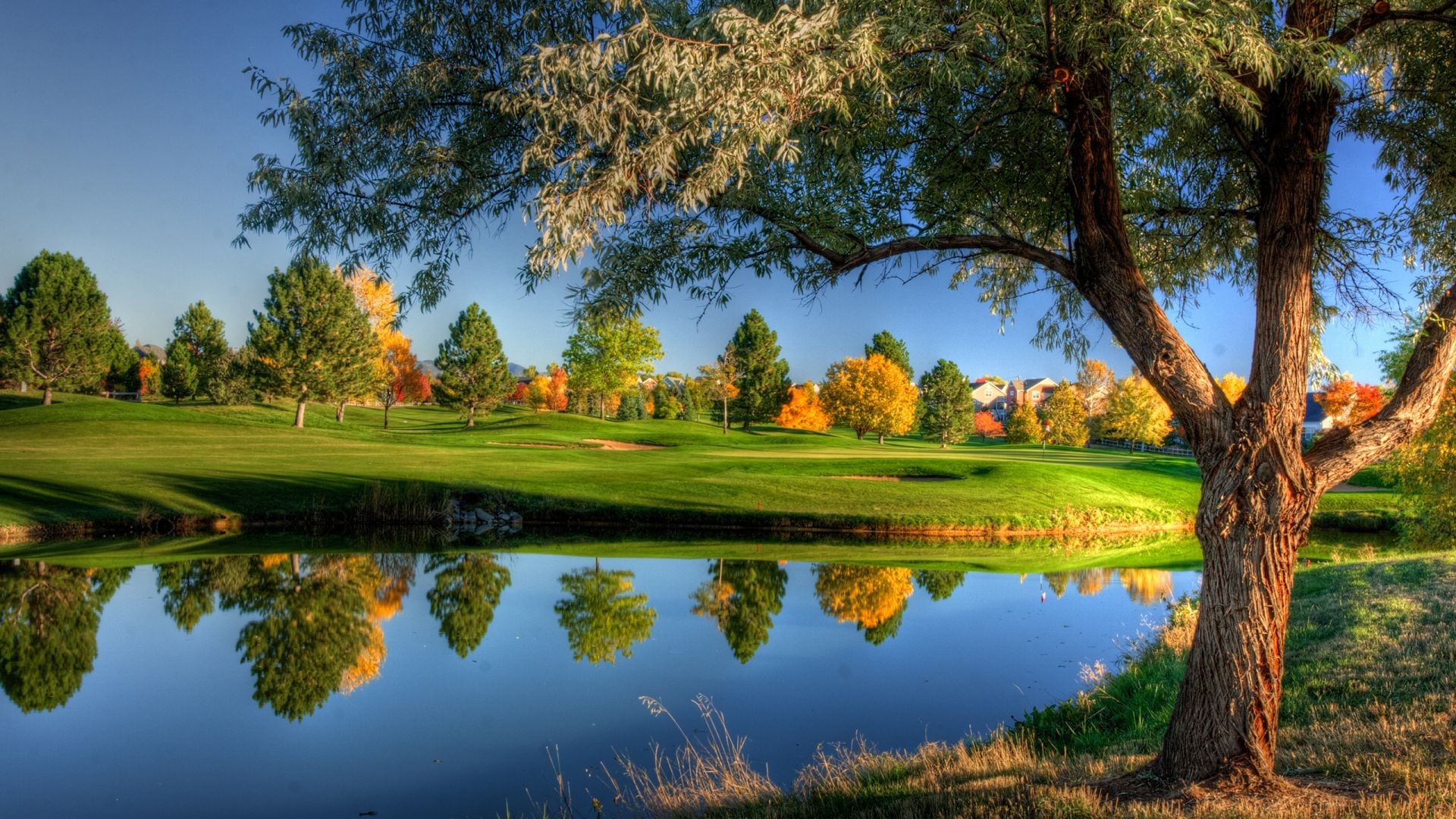 trees tree landscape lake grass nature outdoors sky pool scenic reflection water summer golf wood park fall river countryside idyllic