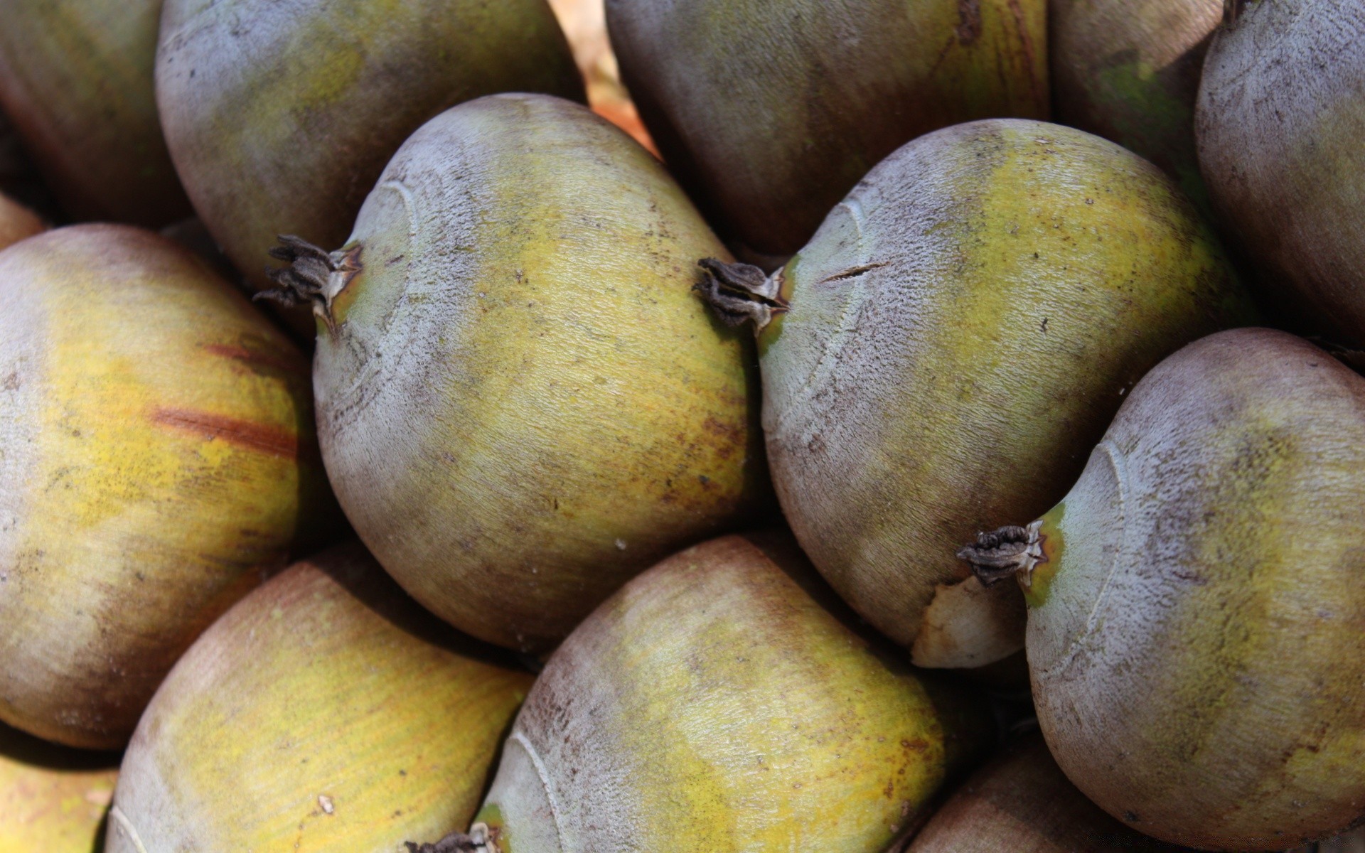 verdura frutta cibo crescere natura tropicale autunno succosa sano esotico cibo desktop pascolo pasticceria mercato flora agricoltura intero verdura dieta