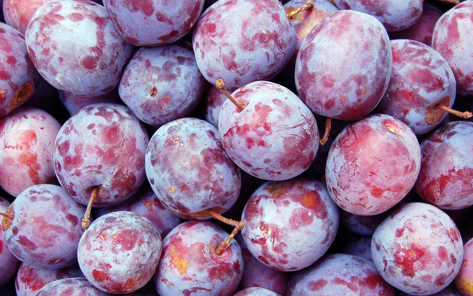 alimentos e bebidas comida frutas saúde desktop suculento verão saudável redondo close-up delicioso frescura confeitaria