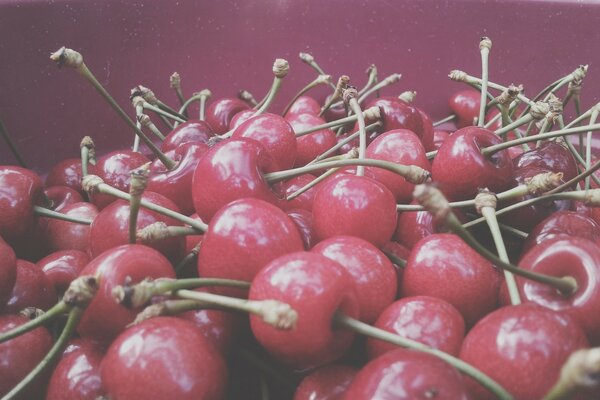 Comida saludable cereza roja