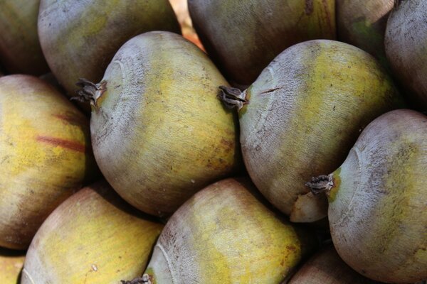 Variety of vegetables and fruits in nature