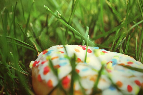 Foto von einem Dessert, das im Gras liegt