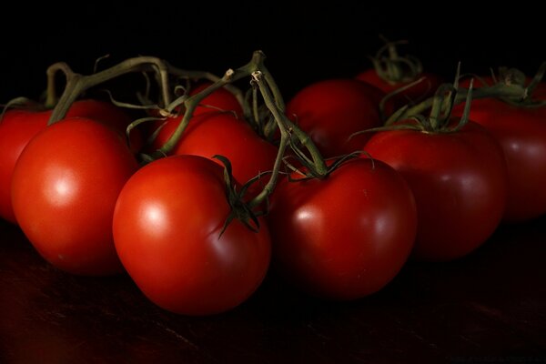 Dunkles Foto von Gemüse mit roten Tomaten