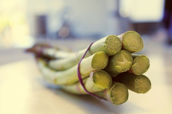 Hermosa naturaleza muerta sobre el tema de las verduras