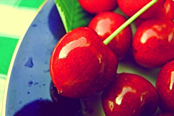 Juicy cherries on a blue plate