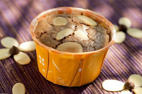 Délicieux cupcake au chocolat sucré