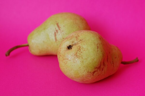 粉红色背景上的两个成熟的梨