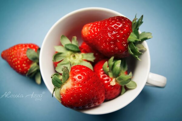 Erdbeeren in einer Tasse auf blauem Hintergrund